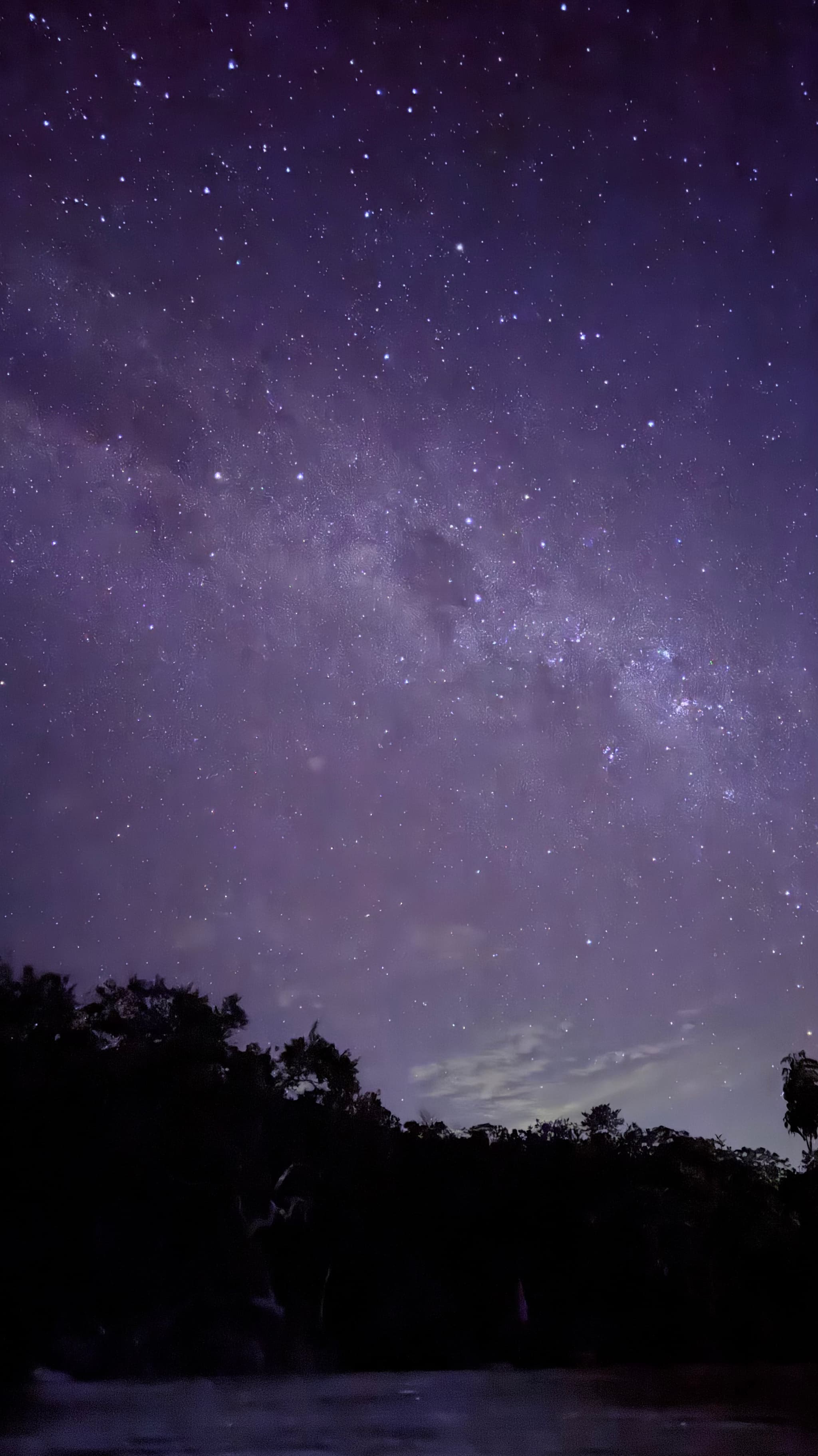 Observação das Estrelas